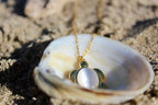 Lustre Honu Necklace
