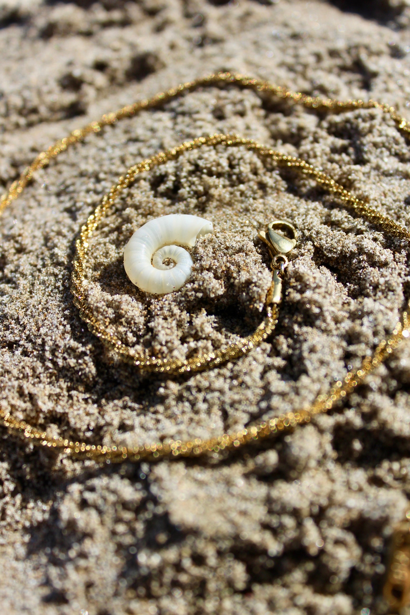 Ali Verdura Chain